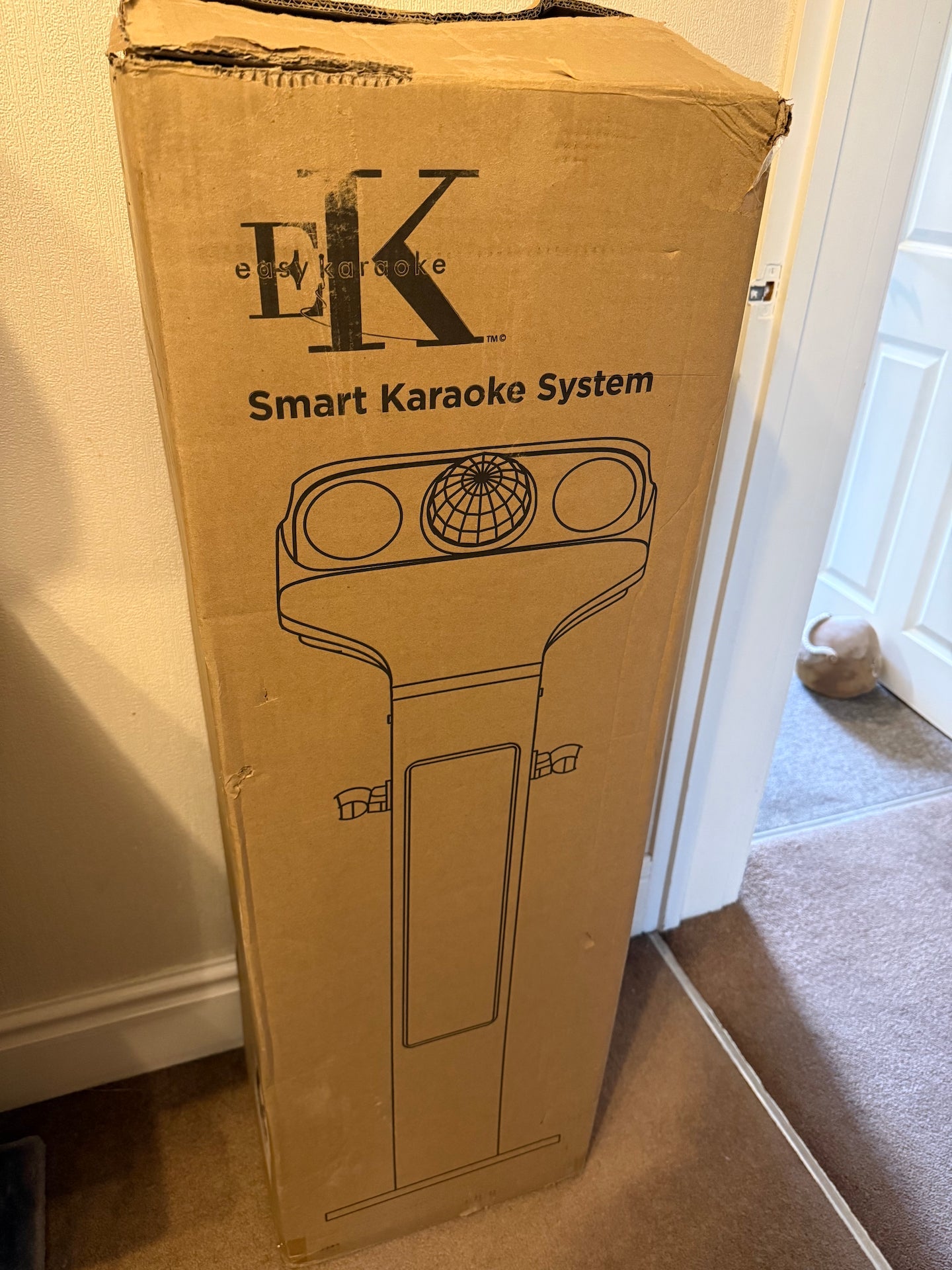 Easy Karaoke Bluetooth Professional Family Party Machine