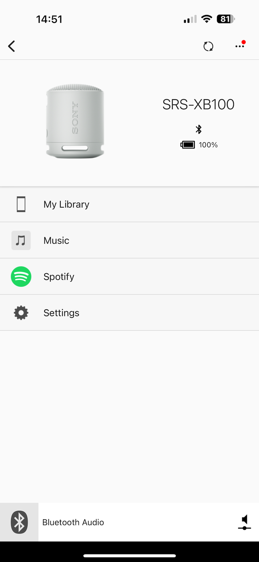 Sony SRS-XB100 - Wireless Bluetooth, Portable, Travel Speaker, Grey