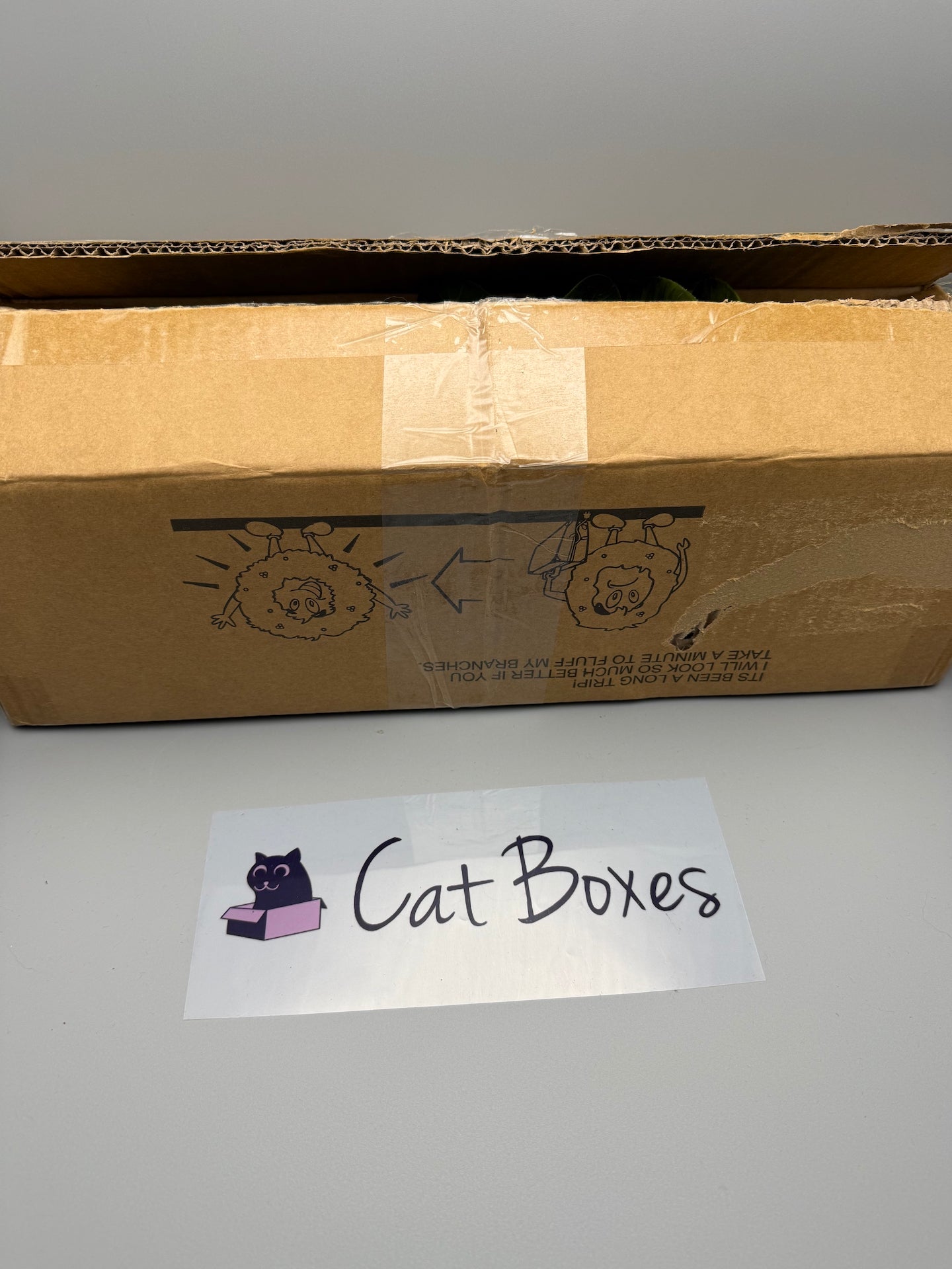 Set 6 Eucalyptus Christmas Tree Picks