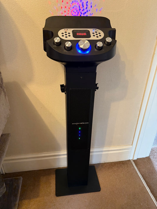 Easy Karaoke Bluetooth Professional Family Party Machine