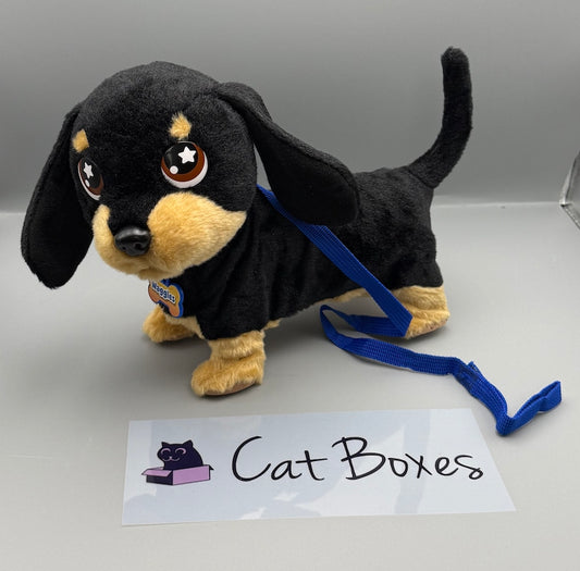 Animagic: Waggles the Dog