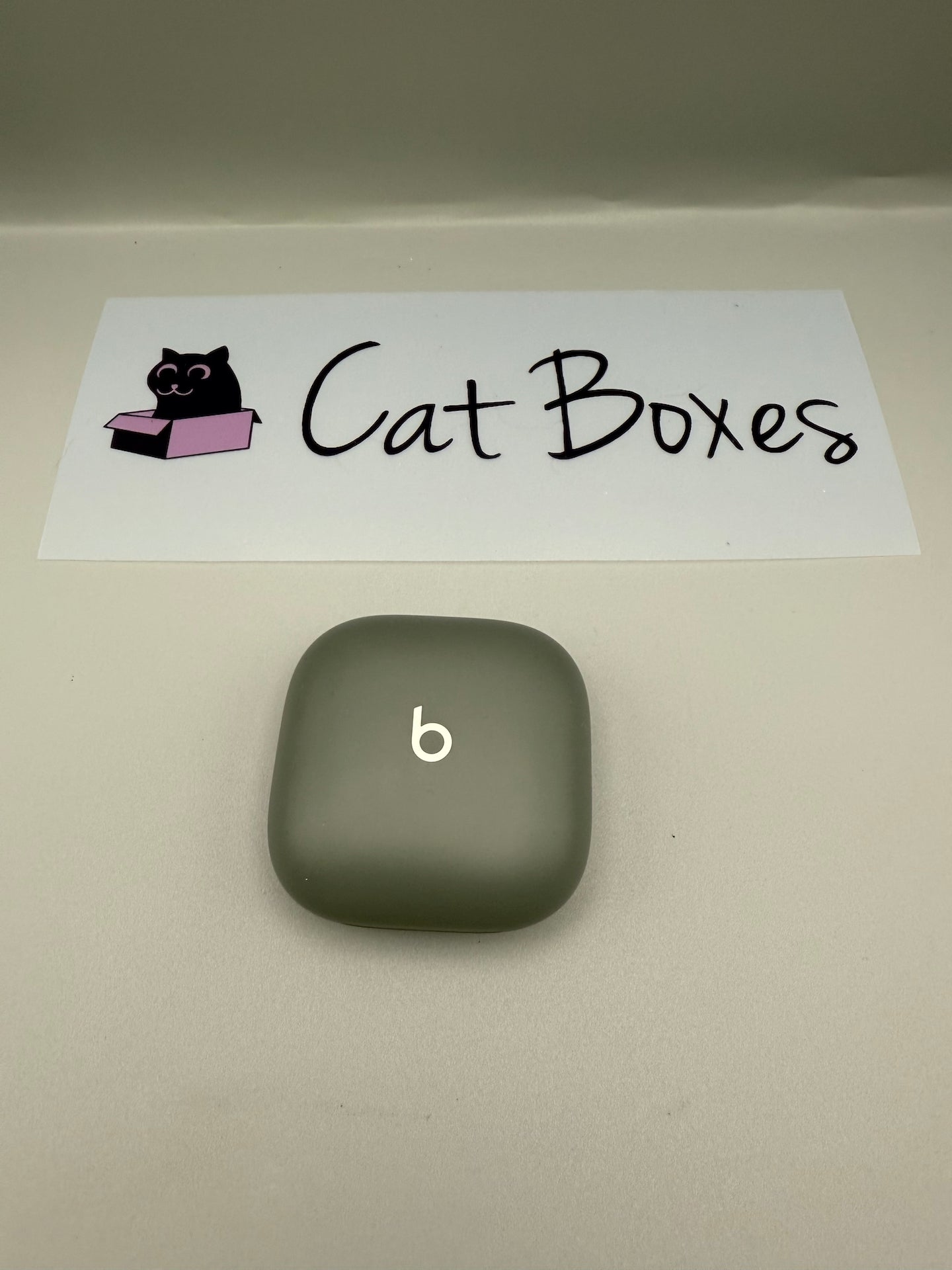 Beats Fit Pro Replacement CASE ONLY! Sage Green - Genuine & Original