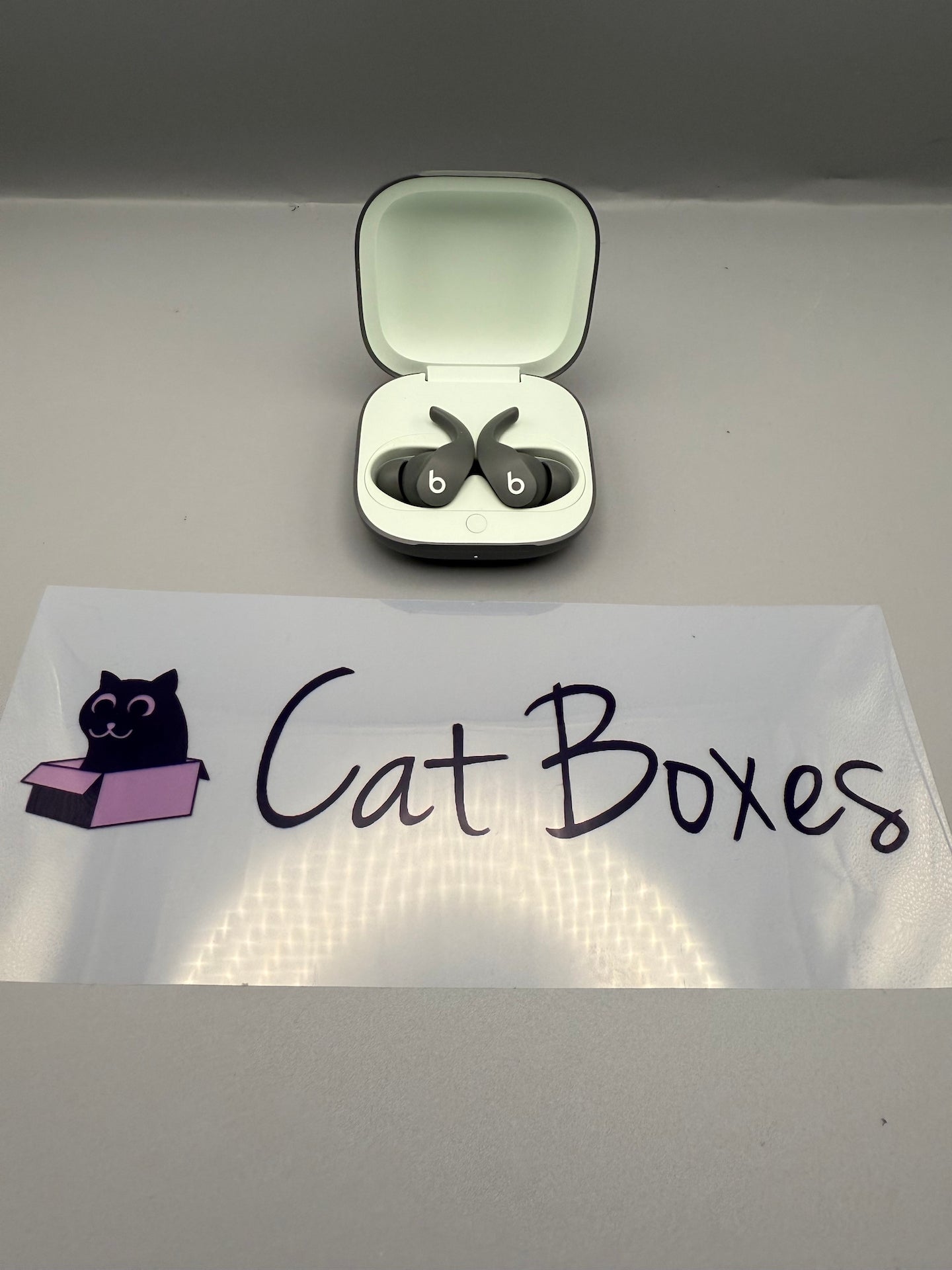 Beats Fit Pro (1st Gen) - True Wireless Noise Cancelling Earbuds - Sage Grey