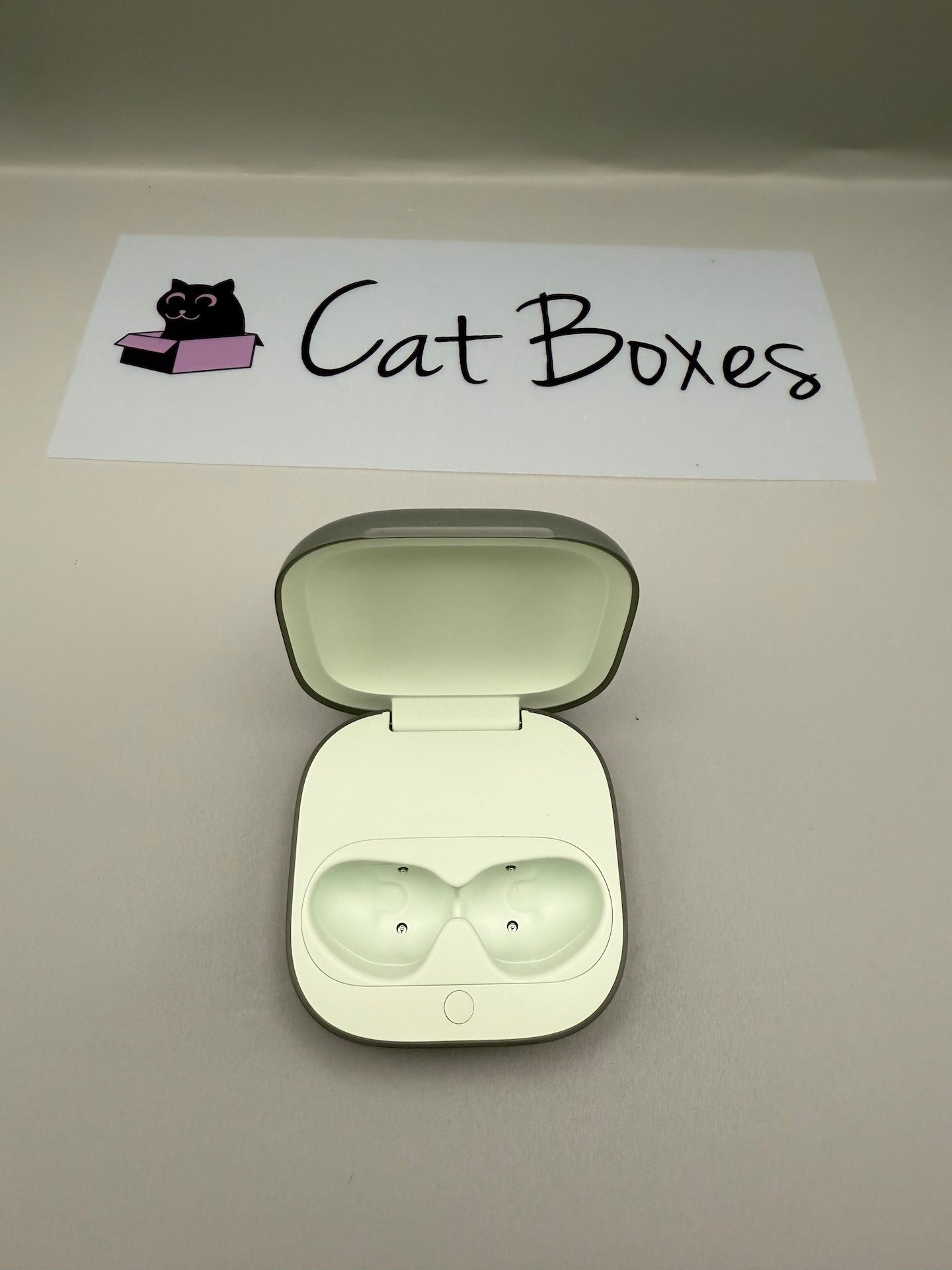 Beats Fit Pro Replacement CASE ONLY! Sage Green - Genuine & Original