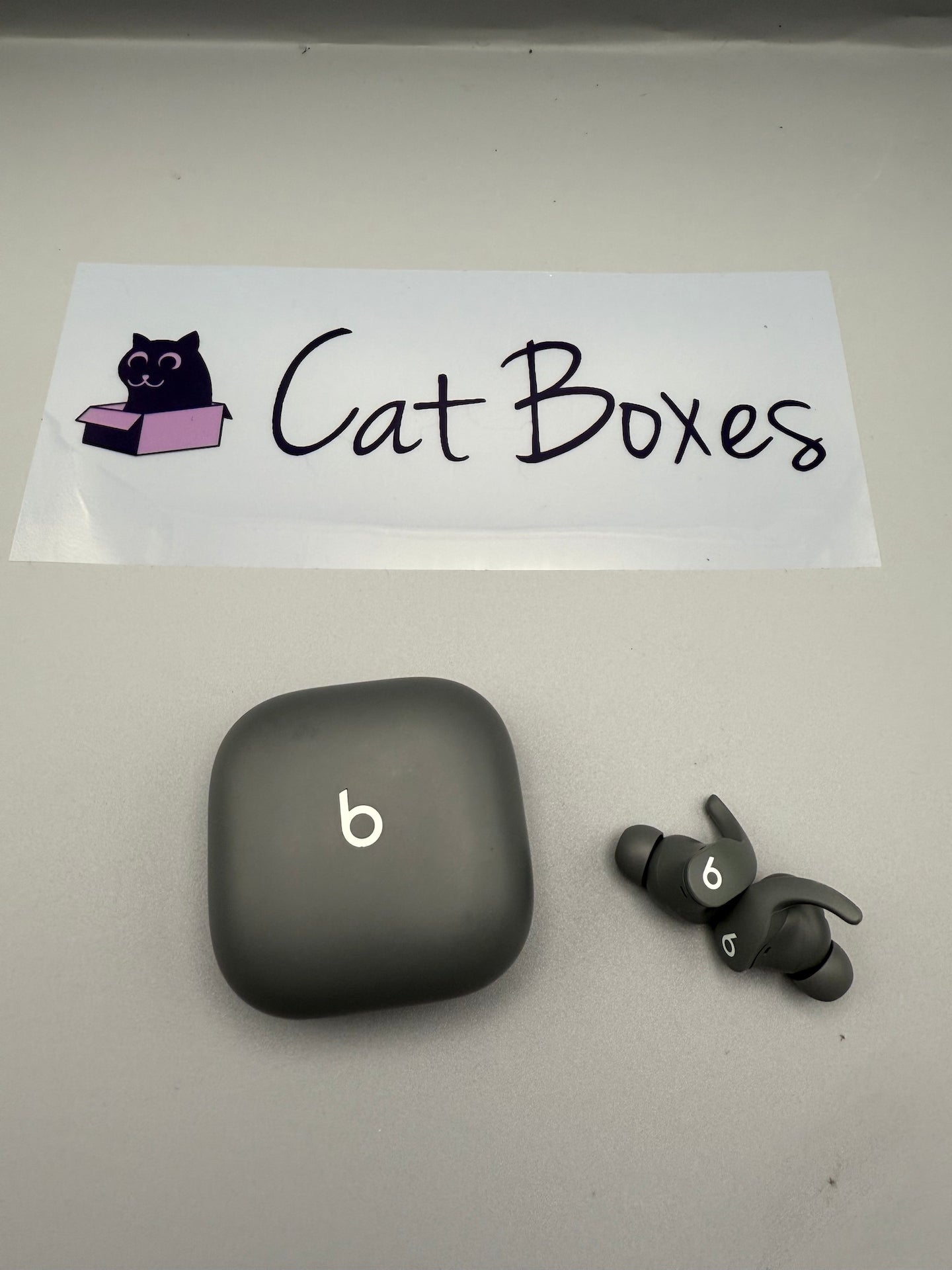 Beats Fit Pro (1st Gen) - True Wireless Noise Cancelling Earbuds - Sage Grey