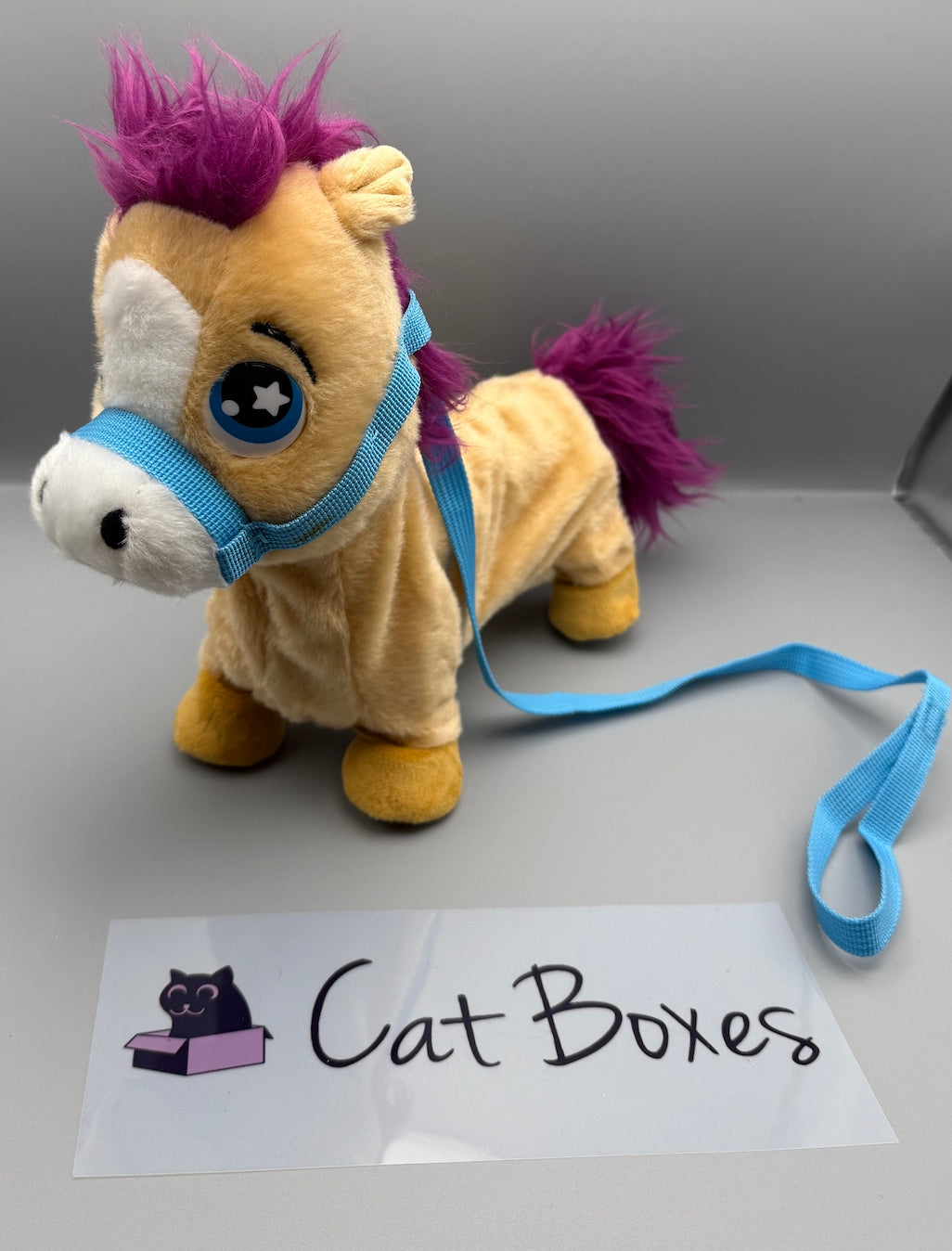 Animagic: Pumpkin the Shetland Pony