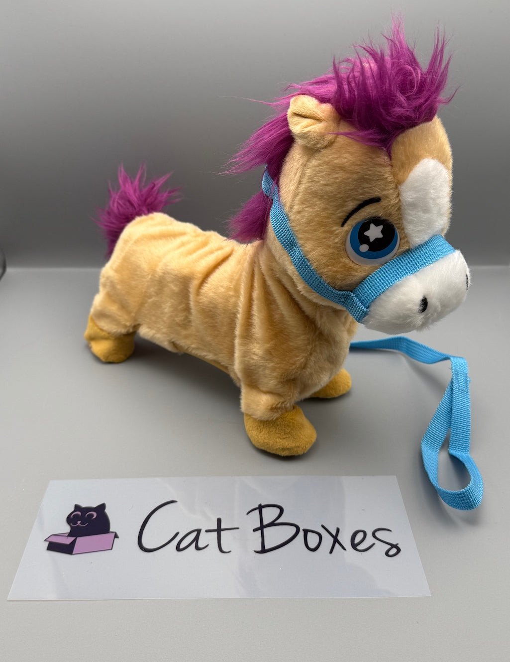 Animagic: Pumpkin the Shetland Pony