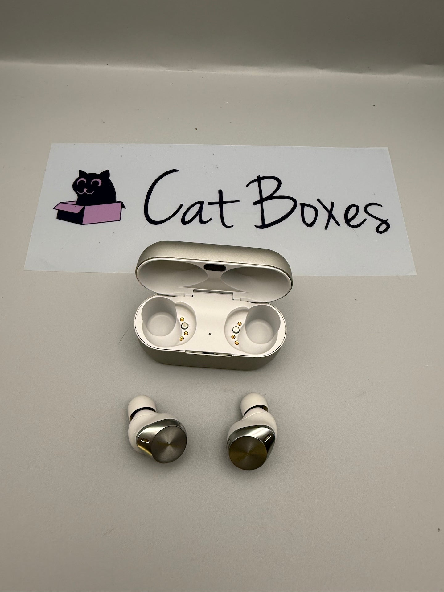 Technics EAH-AZ80 Wireless Earbuds with Noise Cancelling, Silver