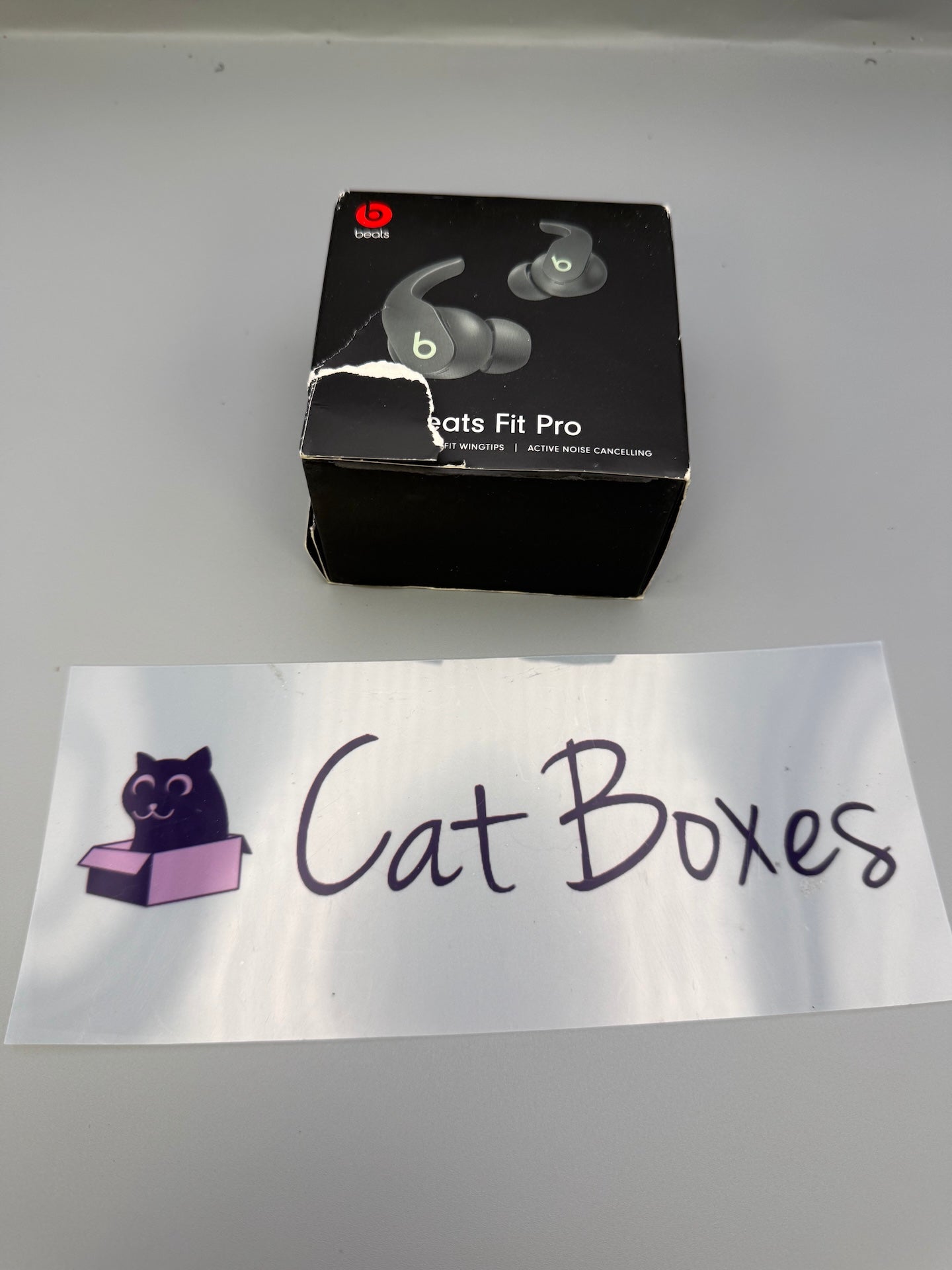 Genuine Beats Fit Pro Ear Tips S/L USB-C Cable Sage Grey & Box
